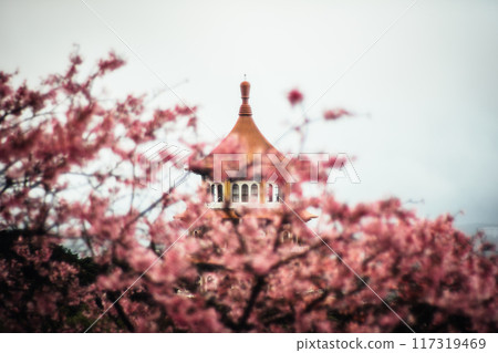 櫻花 117319469