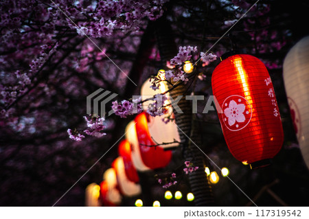 櫻花 117319542