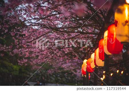 Cherry blossoms Cherry blossoms 117319544