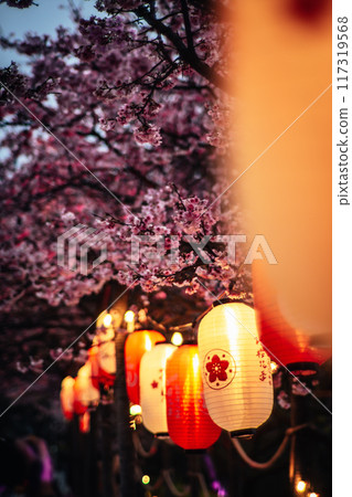 櫻花 117319568