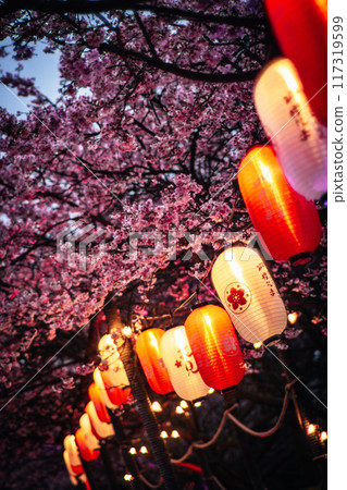 櫻花 117319599