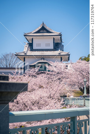 金澤城公園的石川門和盛開的櫻花 117319764