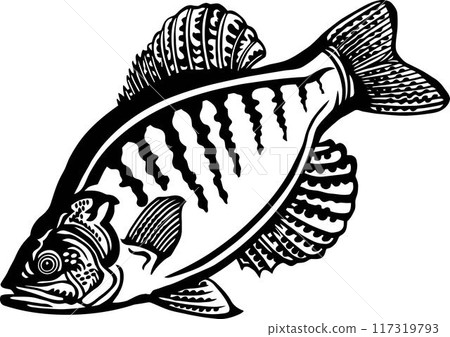 White Crappie - American Fishes - Logo Fish White Crappie - American Fishes - Logo Fish 117319793