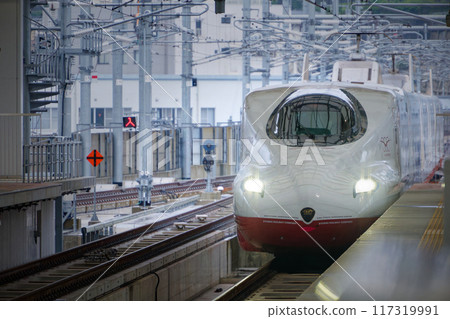 進入長崎站的西九州新幹線上的化妝海鷗 117319991