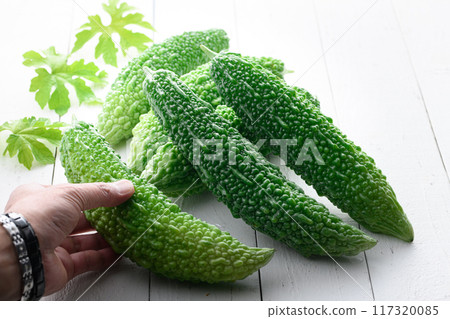 夏季蔬菜苦瓜 117320085