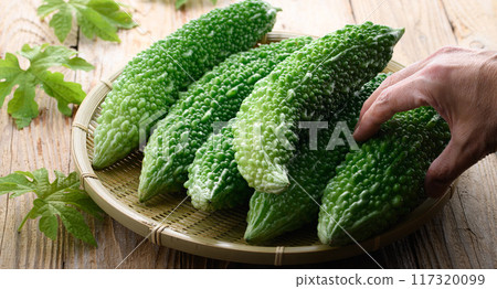 夏季蔬菜苦瓜 117320099