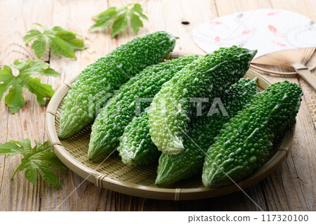 夏季蔬菜苦瓜 117320100