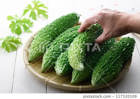 夏季蔬菜苦瓜 夏季蔬菜苦瓜 117320109