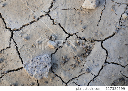 Cracked dry ground Cracked dry ground 117320399