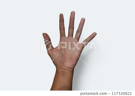 hand of man gesture isolated on white background 117320822