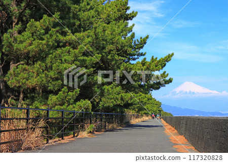 Scenery of Miho no Matsubara and Mt. Fuji, Shizuoka City, Shizuoka Prefecture 117320828