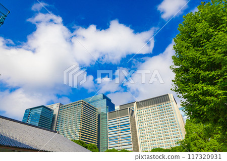 清新的藍天、皇居東御苑的樹木、丸之內和大手町的辦公大樓 - 生態形象（東京都千代田區） 117320931