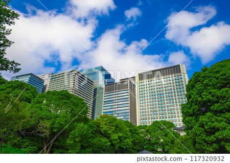 清新的藍天、皇居東御苑的樹木、丸之內和大手町的辦公大樓 - 生態形象（東京都千代田區） 117320932