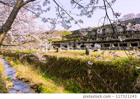 [Niigata Prefecture_Sado Gold Mine] Sado Island, Kitazawa Flotation Plant Ruins, Spring 117321243