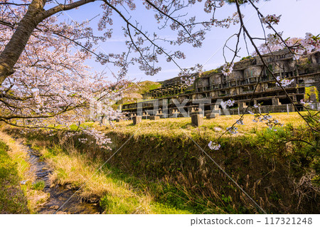 [Niigata Prefecture_Sado Gold Mine] Sado Island, Kitazawa Flotation Plant Ruins, Spring 117321248