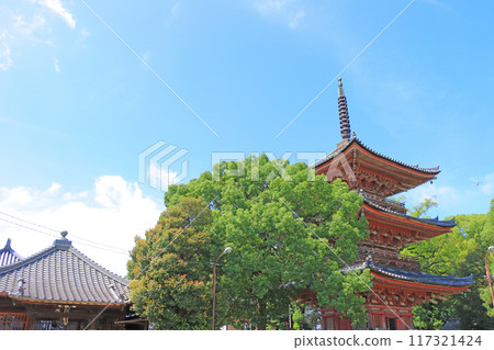愛知縣海間市真目寺三層塔風景 愛知縣海間市真目寺三層塔風景 117321424