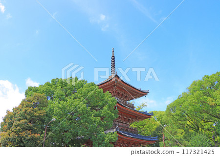 愛知縣海間市真目寺三層塔風景 愛知縣海間市真目寺三層塔風景 117321425