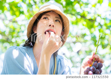 A woman picking grapes A woman picking fruit A woman picking grapes A woman picking fruit 117321550