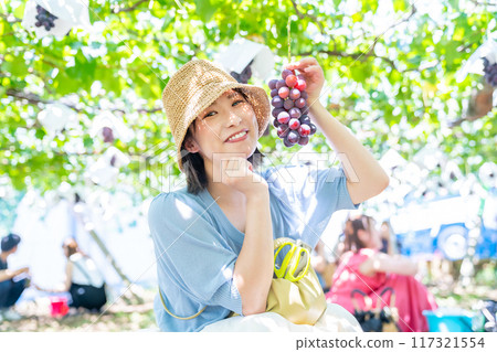 A woman picking grapes A woman picking fruit 117321554