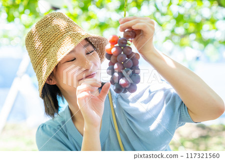 A woman picking grapes A woman picking fruit 117321560