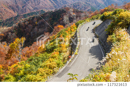 Uonuma city, Niigata Prefecture · Bikyutsukuri of Edogibi autumn leaves Uonuma city, Niigata Prefecture · Bikyutsukuri of Edogibi autumn leaves 117321613
