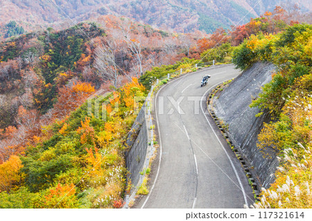 Uonuma city, Niigata Prefecture · Bikyutsukuri of Edogibi autumn leaves 117321614