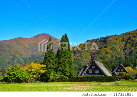秋天的白川鄉 秋天的白川鄉 117321923