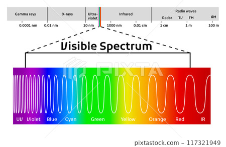 Spectrum wavelength. Visible spectrum color range. Educational physics light line. Wavelengths of the visible part of the spectrum for human eyes 117321949