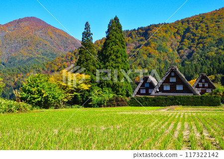 Autumn Shirakawa-go Autumn Shirakawa-go 117322142