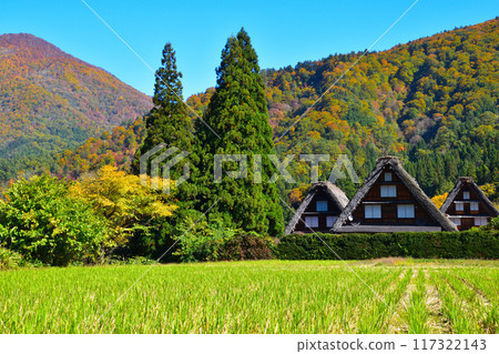 秋天的白川鄉 117322143