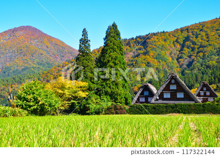 秋天的白川鄉 117322144