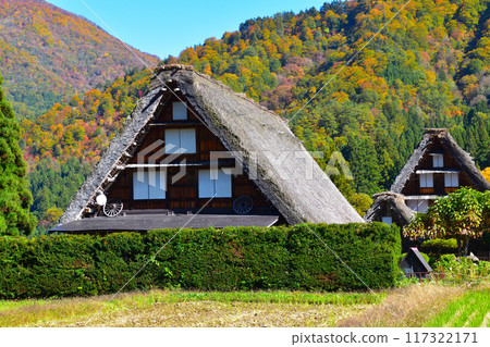 Autumn Shirakawa-go 117322171