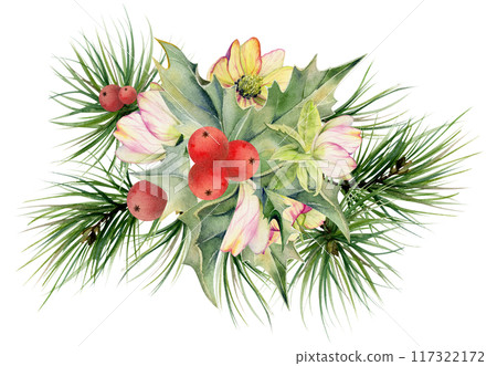 Hellebore flower, holly leaves berries, pine fir tree branches. Watercolor hand drawn illustration, composition isolated on white. Xmas, happy new year festive, noel navidad holiday. For cards, gifts. 117322172