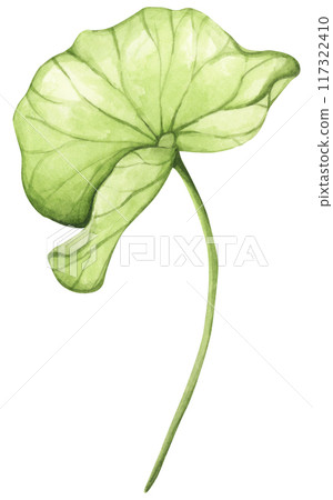 Lotus. Vintage style. Watercolor illustration. Design for the design of invitations, fabrics and other items. 117322410