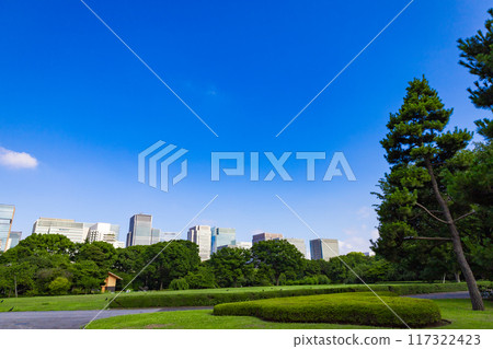 The buildings of the big city of Marunouchi, Otemachi, and Hibiya seen through the trees of the East Gardens of the Imperial Palace and the park on the site of Edo Castle (Chiyoda Ward, Tokyo) 117322423