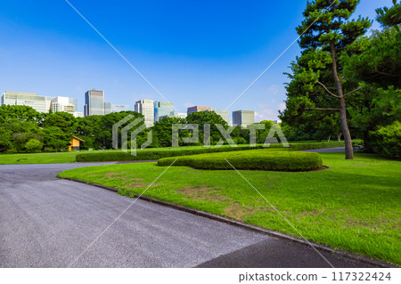 透過皇居東御苑和江戶城遺址公園的樹木，可以看到丸之內、大手町和日比谷的城市建築（東京都千代田區） 117322424
