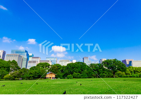 透過皇居東御苑和江戶城遺址公園的樹木，可以看到丸之內、大手町和日比谷的城市建築（東京都千代田區） 117322427