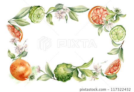 Mixed ripe citrus fruit and jasmine in frame. Grapefruit and bergamot watercolor illustration isolated. Hand drawn bright plants and flowers in botanical sketch for package, summer floral invitation Mixed ripe citrus fruit and jasmine in frame. Grapefruit and bergamot watercolor illustration isolated. Hand drawn bright plants and flowers in botanical sketch for package, summer floral invitation 117322432