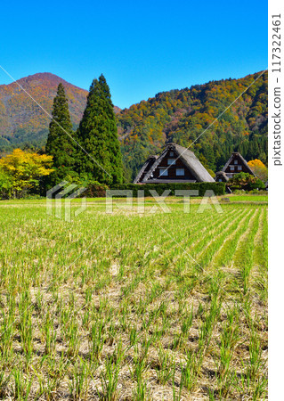 秋天的白川鄉 117322461