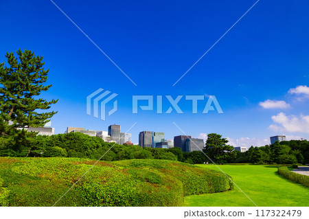 透過皇居東御苑和江戶城遺址公園的樹木，可以看到丸之內、大手町和日比谷的城市建築（東京都千代田區） 117322479