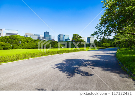 透過皇居東御苑和江戶城遺址公園的樹木，可以看到丸之內、大手町和日比谷的城市建築（東京都千代田區） 117322481