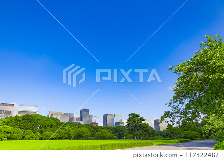 The buildings of the big city of Marunouchi, Otemachi, and Hibiya seen through the trees of the East Gardens of the Imperial Palace and the park on the site of Edo Castle (Chiyoda Ward, Tokyo) The buildings of the big city of Marunouchi, Otemachi, and Hibiya seen through the trees of the East Gardens of the Imperial Palace and the park on the site of Edo Castle (Chiyoda Ward, Tokyo) 117322482