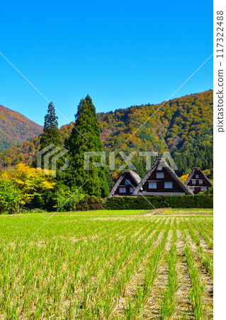 秋天的白川鄉 117322488