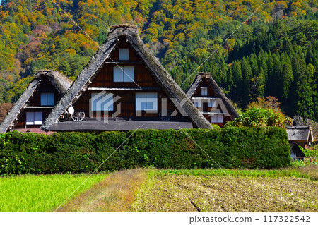 Autumn Shirakawa-go 117322542
