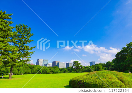 透過皇居東御苑和江戶城遺址公園的樹木，可以看到丸之內、大手町和日比谷的城市建築（東京都千代田區） 117322564