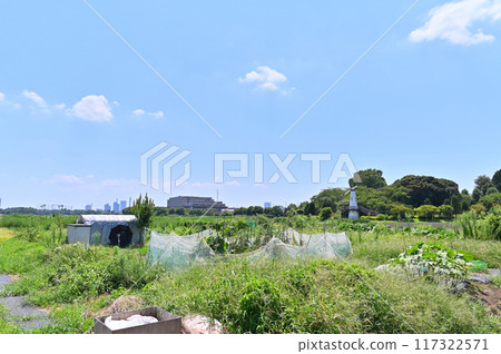 清爽的藍天和埼玉市風景東武野田線埼玉縣（埼玉新都心、大宮、大和田方向的風景） 117322571