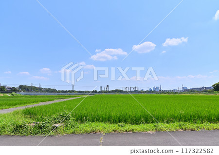 清爽的藍天和埼玉市風景東武野田線埼玉縣（埼玉新都心、大宮、大和田方向的風景） 117322582