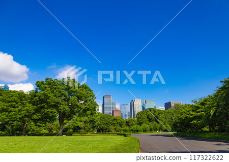 The buildings of the big city of Marunouchi, Otemachi, and Hibiya seen through the trees of the East Gardens of the Imperial Palace and the park on the site of Edo Castle (Chiyoda Ward, Tokyo) 117322622