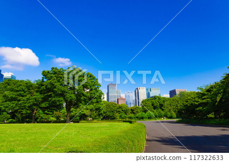 透過皇居東御苑和江戶城遺址公園的樹木,可以看到丸之內、大手町和日比谷的城市建築(東京都千代田區) 透過皇居東御苑和江戶城遺址公園的樹木,可以看到丸之內、大手町和日比谷的城市建築(東京都千代田區) 117322633