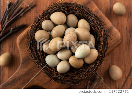 Rutin Chicken Ludin Chicken Egg Egg Brown Coffee Gray Top View Egg in nest Egg 生たまご 117322771